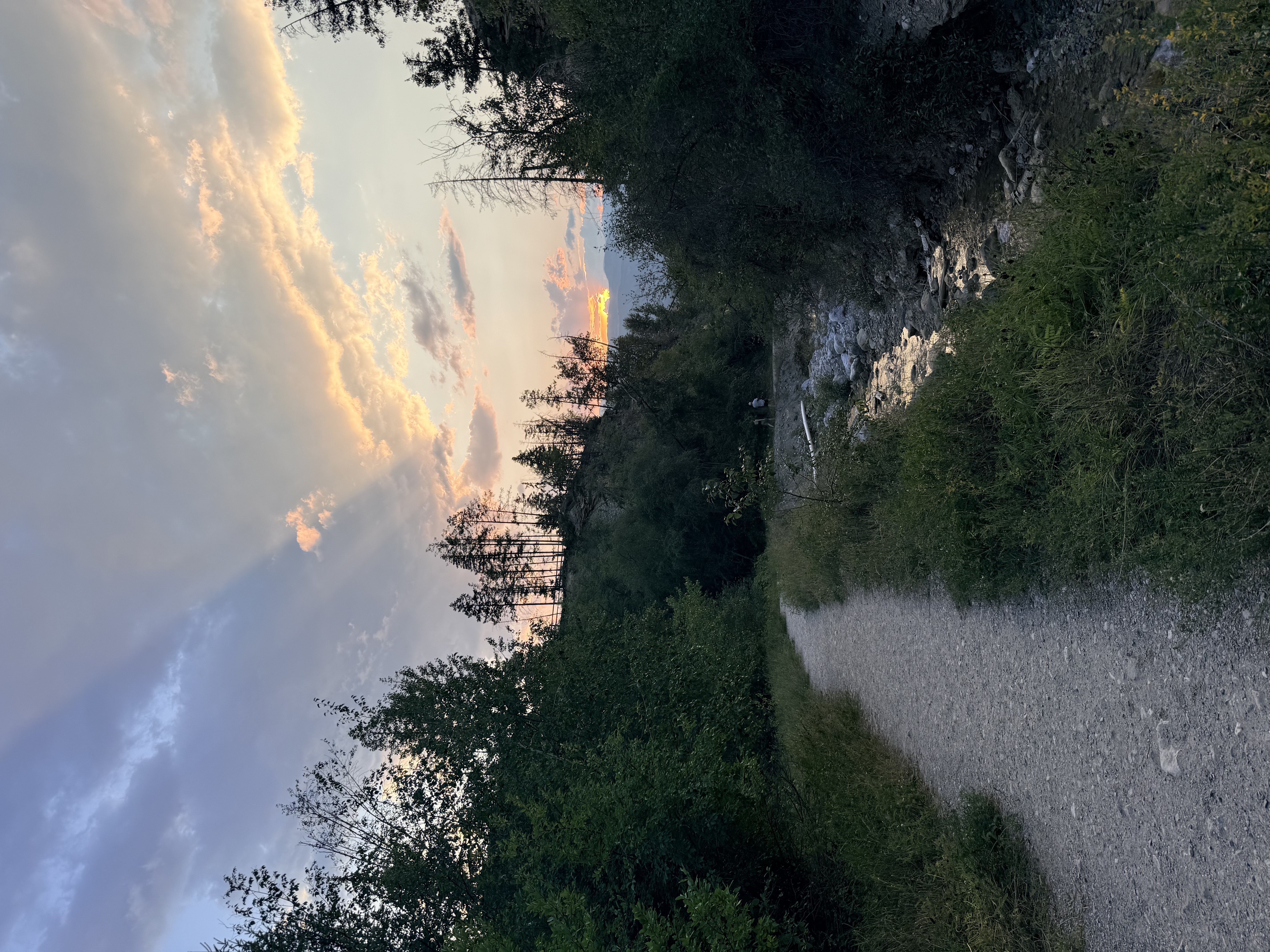 A quiet trail along a creek at sunset